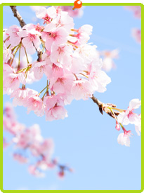 ���Ɍ���ˎs�̒��䎕�Ȉ�@